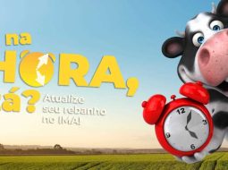 Irmãos Brant - IMA – Atualização de rebanhos 2025 – Prazo encerra no dia 30 de junho