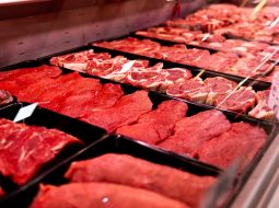 Irmãos Brant - Avanço das exportações de carne bovina para os EUA ainda depende do preço interno, diz Abiec