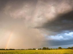 Irmãos Brant - Chuva volumosa chega a Minas Gerais, Mato Grosso e Rondônia