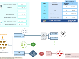 Irmãos Brant - Proteja as suas vacas recém-paridas!