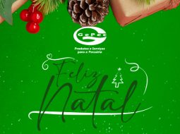 Irmãos Brant - Desejamos a todos um Feliz Natal