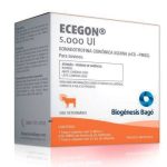 Irmãos Brant - Ecegon 5000 Ui