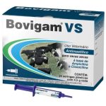 Irmãos Brant - Bovigam VS