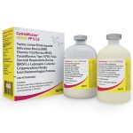 Irmãos Brant - Cattle Master Gold 25 Ds