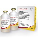 Irmãos Brant - Cattle Master 4+L5 25 Ds