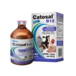 Irmãos Brant - Catosal B12 100 mL
