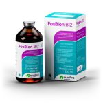 Irmãos Brant - Fosbion B12 Inj. 250 mL