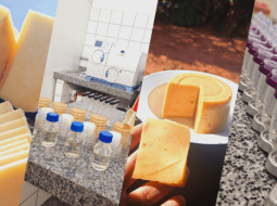 Irmãos Brant - Vem aí o 1º Seminário da Rede Mineira de Pesquisa em Queijos Artesanais