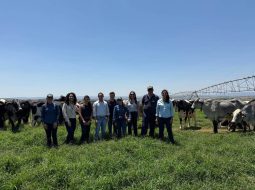 Irmãos Brant - UFG fará estudo sobre impactos das mudanças climáticas na raça Girolando