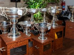 Irmãos Brant - Nelore Fest 2025: evento celebra excelência genética e premia recordistas