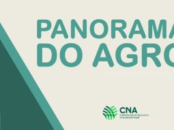 Irmãos Brant - Panorama do Agro – Semana de 15 a 19 de dezembro