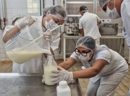 Irmãos Brant - Pesquisa realizada em Minas Gerais desenvolve tecnologia para garantir leite mais nutritivo a bebês prematuros