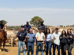 Irmãos Brant - PMGZ Carne: abate de animais da ACN Agropecuária registra 25 arrobas aos 22 meses, superior à média dos frigoríficos