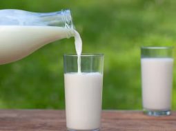 Irmãos Brant - Com ‘descasamento’, preços do leite caem na fazenda e sobem no varejo