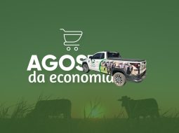 Irmãos Brant - Confira as nossas promoções do mês de agosto!