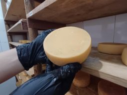 Irmãos Brant - Novas normas de inspeção de produtos de origem animal entram em vigor em Minas Gerais