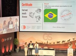 Irmãos Brant - Minas Gerais é reconhecida internacionalmente como livre de febre aftosa sem vacinação