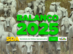 Irmãos Brant - Ano histórico para a defesa agropecuária consolida o Brasil como referência mundial em sanidade animal