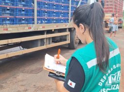 Irmãos Brant - Governo de Minas abre consulta pública sobre o trânsito de animais no estado