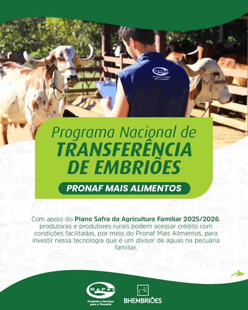 PRONAF, crédito e transferência de embriões.