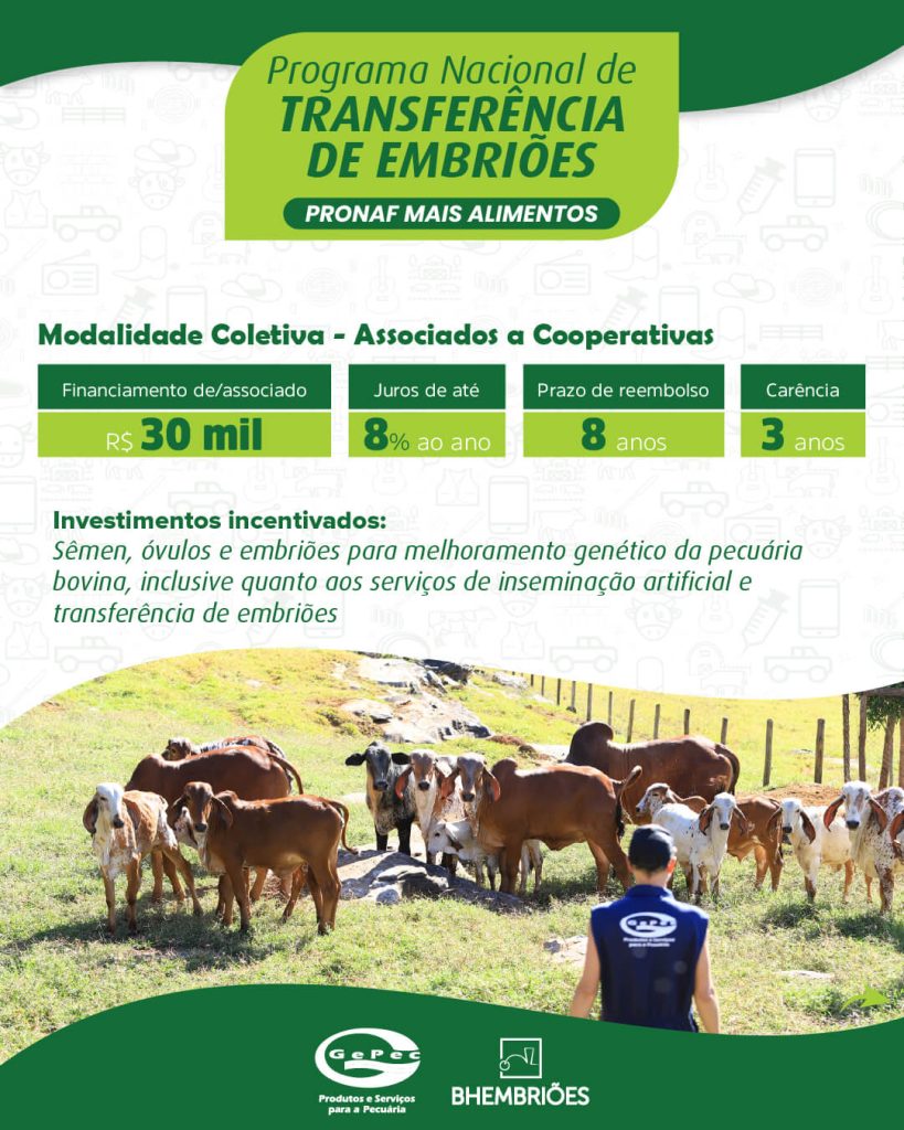 PRONAF, crédito e transferência de embriões.