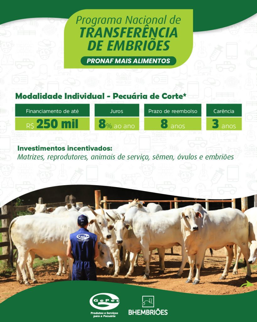 PRONAF, crédito e transferência de embriões.