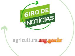 Irmãos Brant - Exportações do agro mineiro somam US$ 3,93 bilhões no 1º trimestre do ano