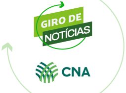 Irmãos Brant - Comissão Nacional de Bovinocultura de Corte define agenda de trabalho para 2026