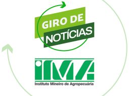 Irmãos Brant - Segurança dos alimentos: entenda como as exigências sanitárias e a inspeção protegem o consumidor