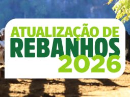 Irmãos Brant - A etapa de atualização de rebanhos começa em 1º de maio